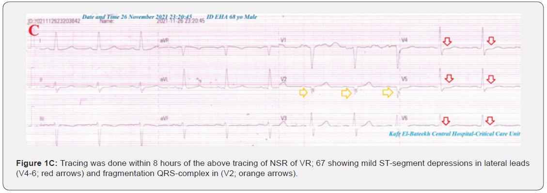 Click here to view Large Figure
