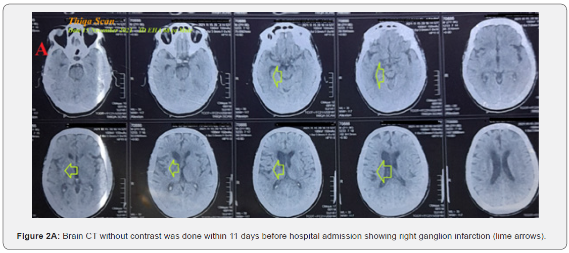 Click here to view Large Figure