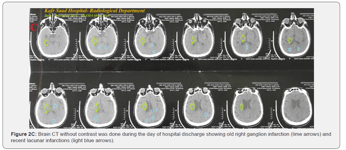 Click here to view Large Figure