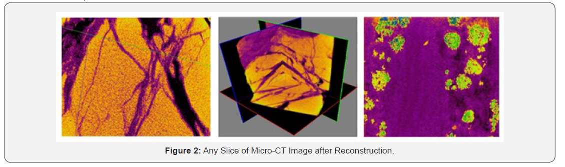 Click here to view Large Figure 2 Insights in Mining Science & Technology