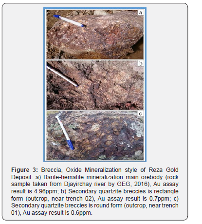 Click here to view Large Figure 4