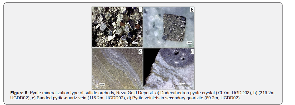 Click here to view Large Figure 6