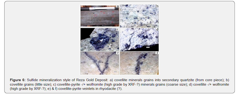 Click here to view Large Figure 7