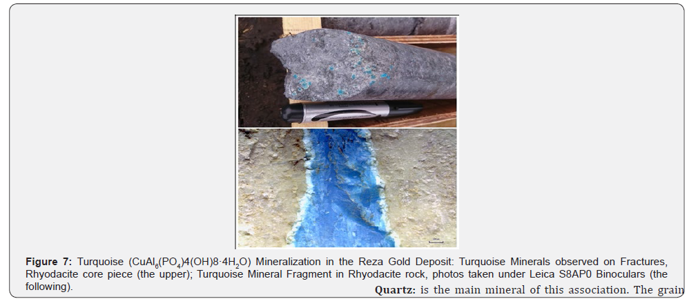 Click here to view Large Figure 8