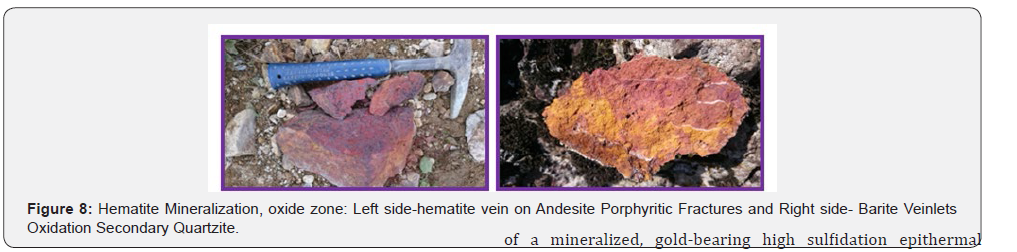 Click here to view Large Figure 9