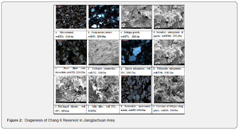 Click here to view Large Figure 2