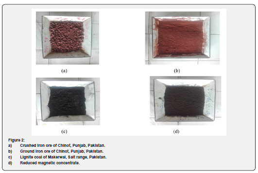 Click here to view Large Figure 2