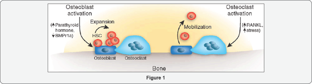 Click here to view Large Figure 1