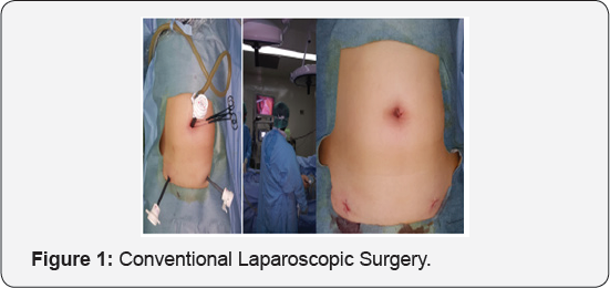 Click here to view Large Figure 1