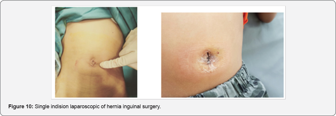 Click here to view Large Figure 10