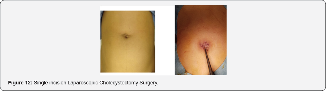 Click here to view Large Figure 12