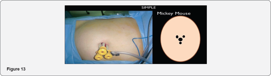 Click here to view Large Figure 13