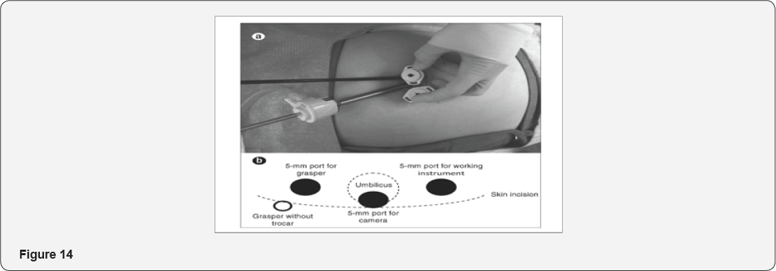 Click here to view Large Figure 14