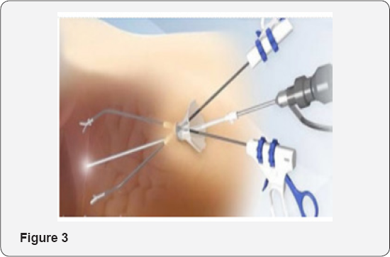 Click here to view Large Figure 3