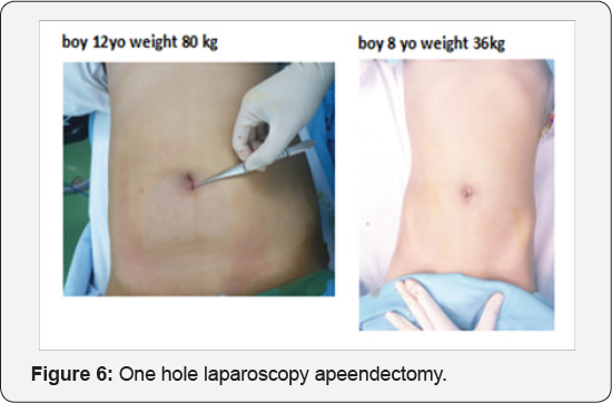 Click here to view Large Figure 6