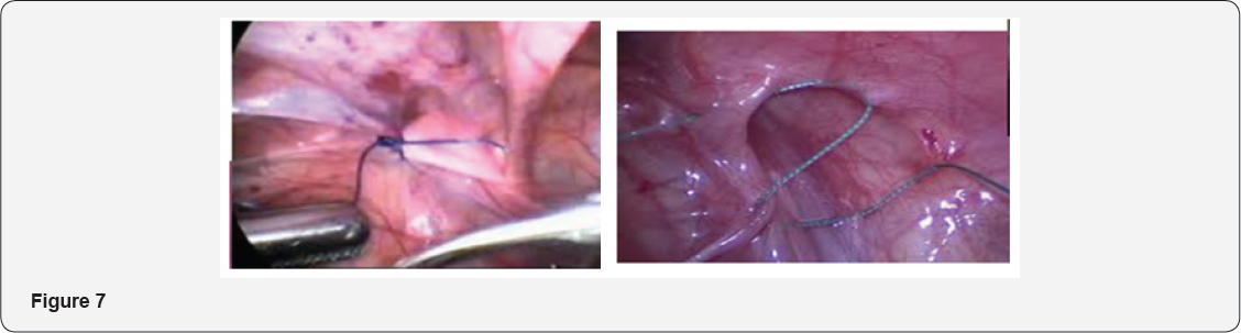 Click here to view Large Figure 7