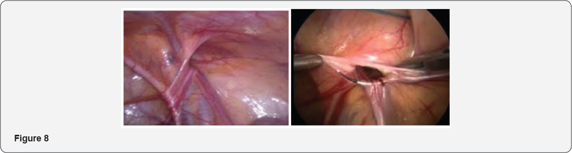 Click here to view Large Figure 8