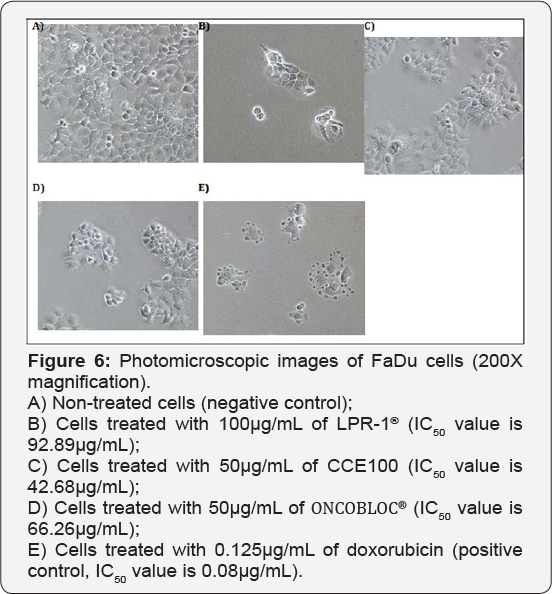 Click here to view Large Figure 6