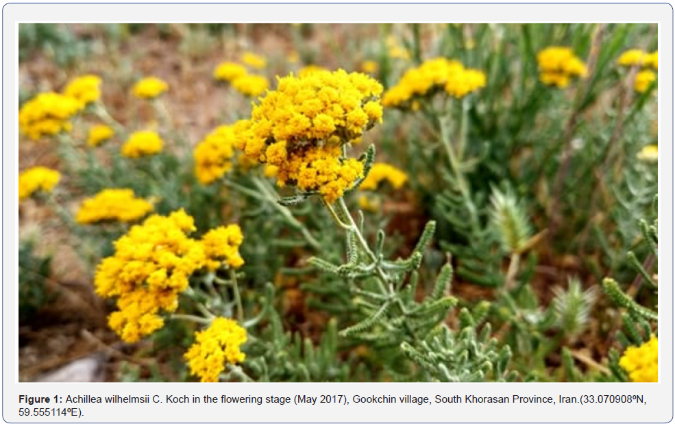 Click here to view Large Figure 1