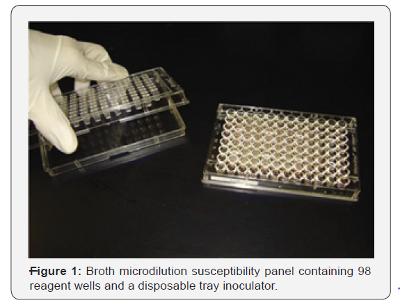Click here to view Large Figure 1