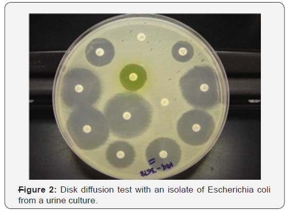 Click here to view Large Figure 2