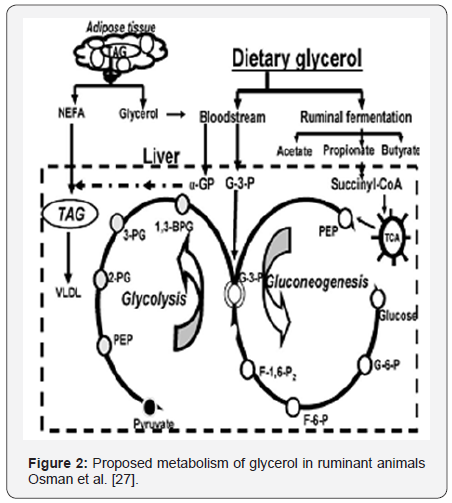 Click here to view Large Figure 2