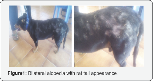 Click here to view Large Figure 1