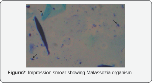 Click here to view Large Figure 2