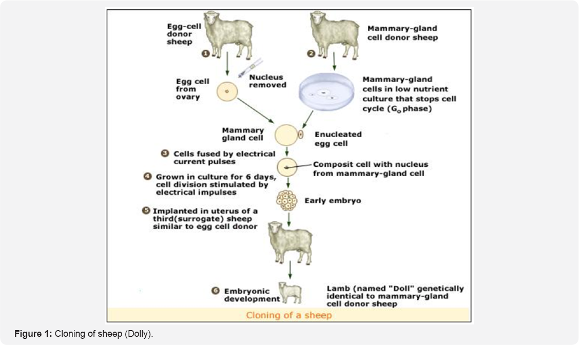 Click here to view Large Figure 1