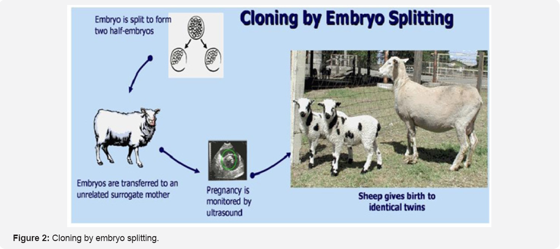 Click here to view Large Figure 1