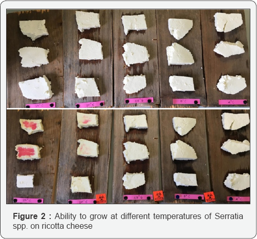 Click here to view Large Figure 2
