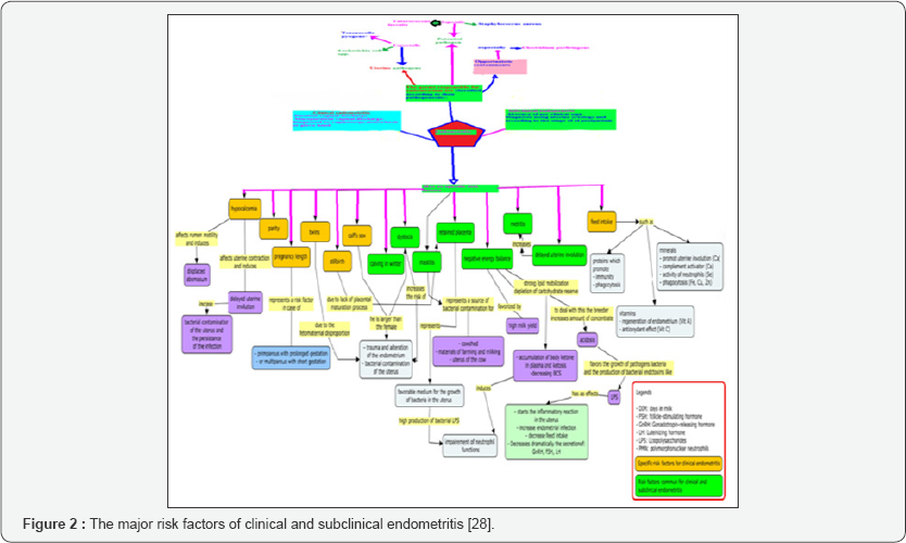 Click here to view Large Figure 2