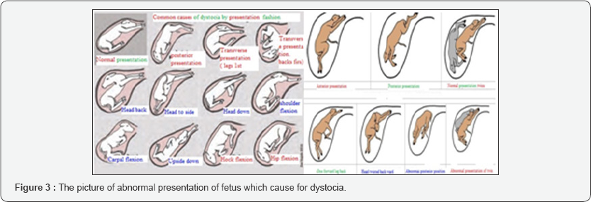Click here to view Large Figure 3