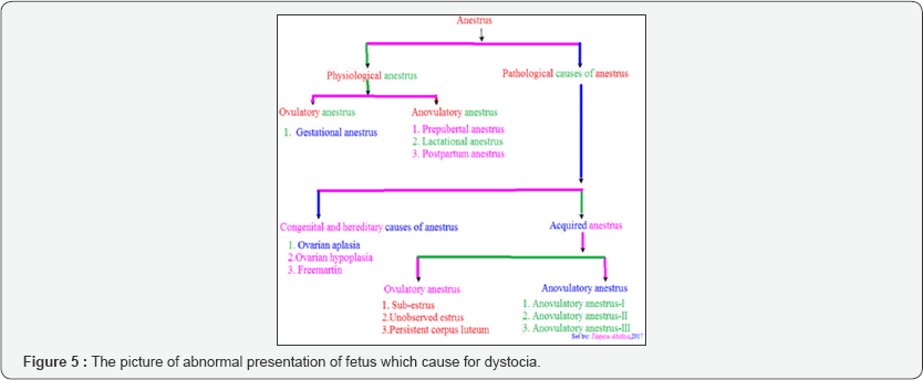 Click here to view Large Figure 5