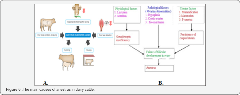Click here to view Large Figure 6