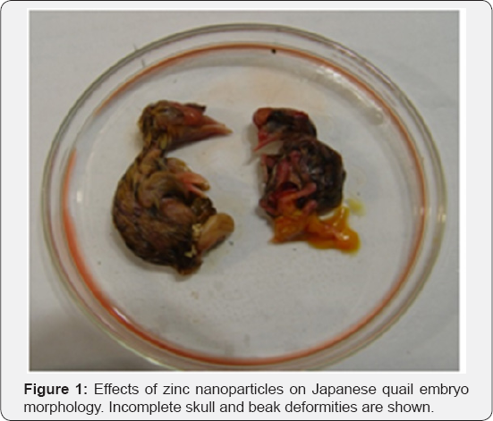 Click here to view Large Figure 1