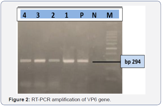 Click here to view Large Figure 2