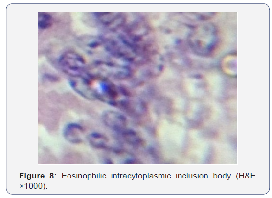 Click here to view Large Figure 8