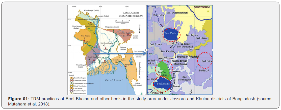 Click here to view Large Figure 1