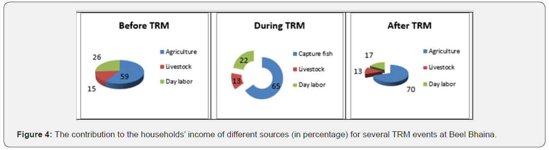 Click here to view Large Figure 4