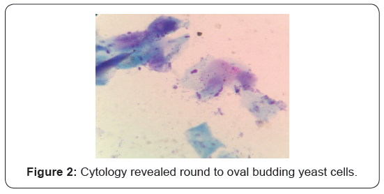 Click here to view Large Figure 2