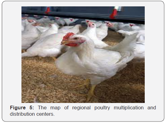 Click here to view Large Figure 5