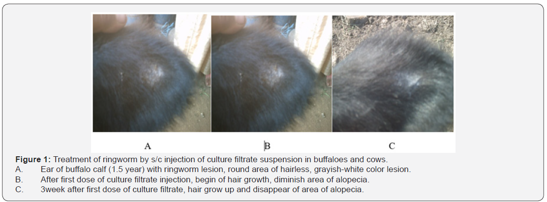 Click here to view Large Figure 1