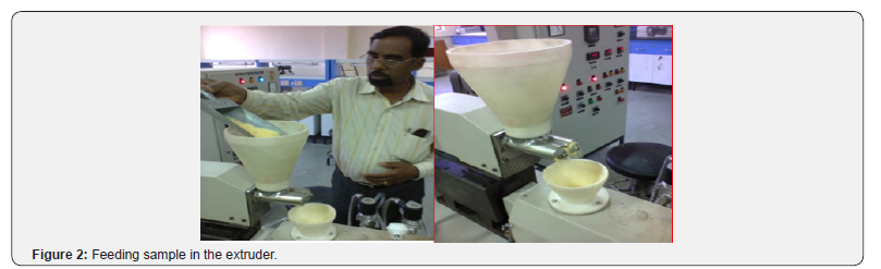 Click here to view Large Figure 2