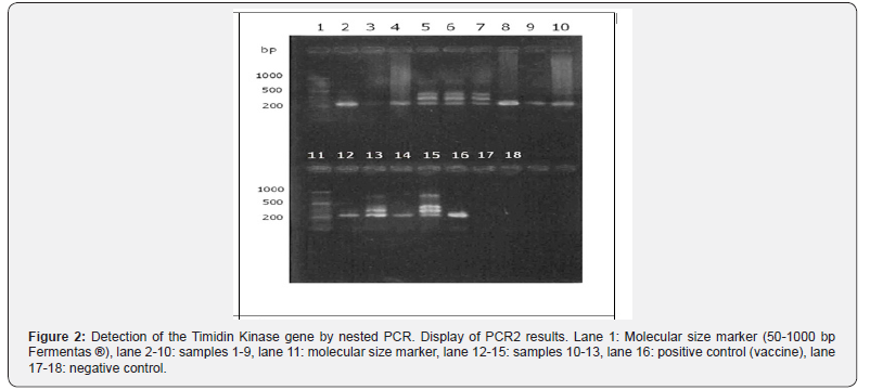 Click here to view Large Figure 2