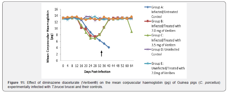 Click here to view Large Figure 11