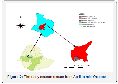 Click here to view Large Figure 2