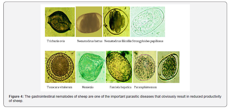 Click here to view Large Figure 4