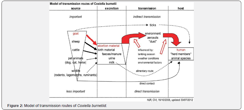 Click here to view Large Figure 2