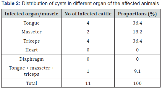 Click here to view Large Table 2